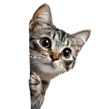 Playful floating cat mascot
